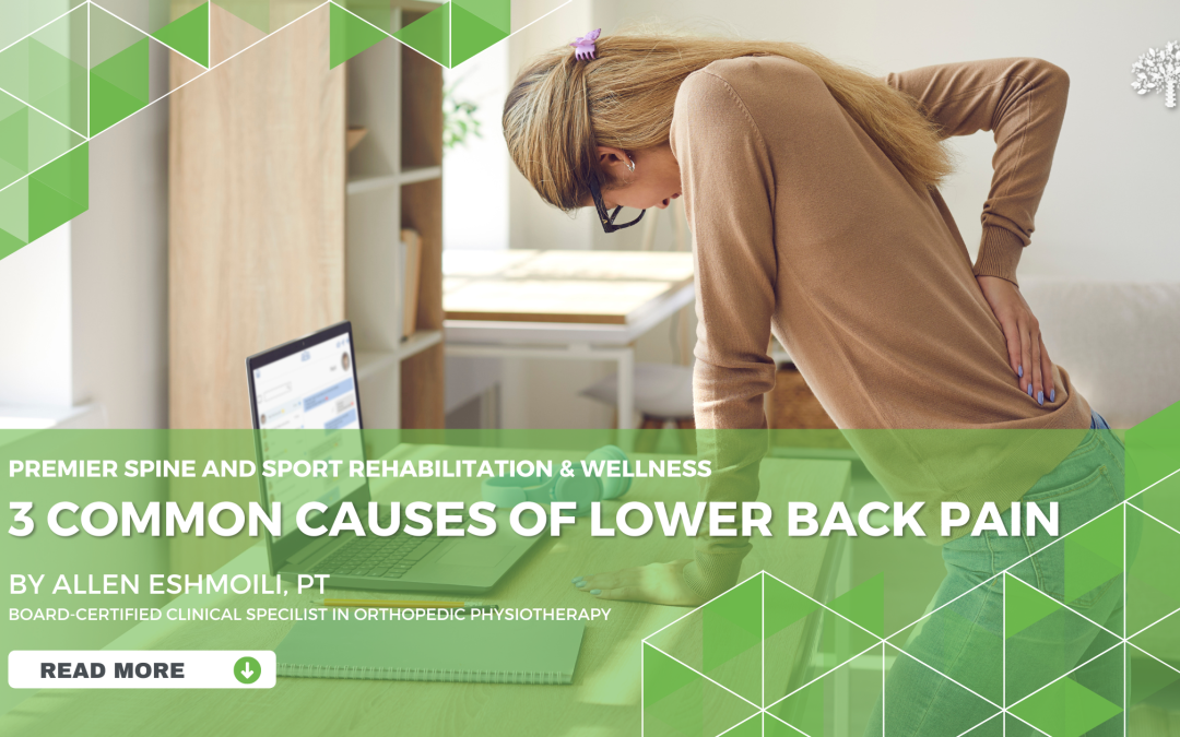 3 Common Causes of Lower Back Pain